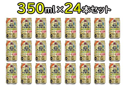 ＜宝 焼酎ハイボール 強烈塩レモンサイダー350ml×24本＞翌月末迄に順次出荷【c842_yu_x2】