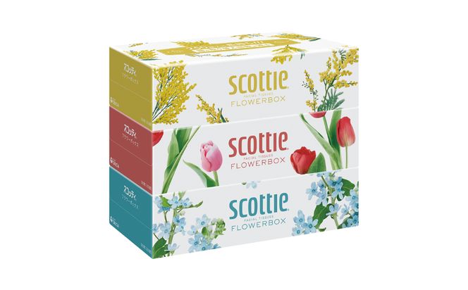 ＼スピード発送／【スコッティ】ティシュー フラワーボックス 250組 3箱パック×1セット 合計3箱 ティッシュ 日用品 生活必需品 スピード発送 【7営業日以内に発送】