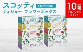 【スコッティ】ティシュー フラワーボックス 250組 5箱パック×2セット 合計10箱 ティッシュ 日用品 生活必需品