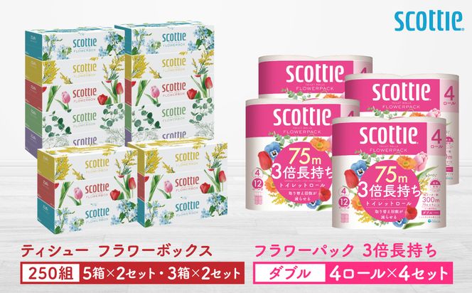 【スコッティ】ティシュー フラワーボックス 250組（5箱パック×2セット・3箱パック×2セット）＋フラワーパック 3倍長持ち（4ロール(ダブル)パックx4セット）ティッシュ トイレットペーパー 日用