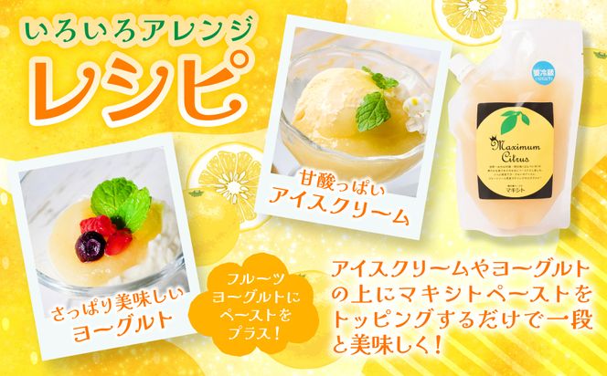 熊本県 八代市産 晩白柚 ペースト「マキシト」『お手軽セット』（合計740g） ばんぺいゆ 柑橘 手作り