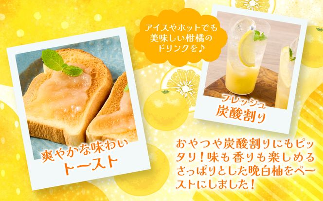 熊本県 八代市産 晩白柚 ペースト「マキシト」『お手軽セット』（合計740g） ばんぺいゆ 柑橘 手作り