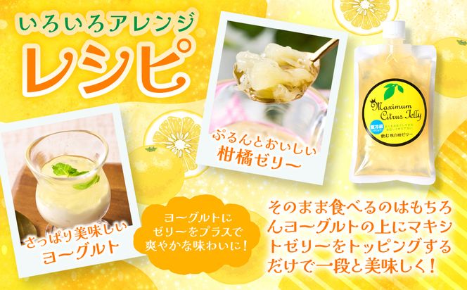 熊本県 八代市産 晩白柚ペースト「マキシト」& 晩白柚ゼリー「マキシトゼリー」『お手軽セット』（合計860g） ばんぺいゆ 柑橘 手作り