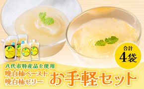 熊本県 八代市産 晩白柚ペースト「マキシト」& 晩白柚ゼリー「マキシトゼリー」『お手軽セット』（合計860g） ばんぺいゆ 柑橘 手作り