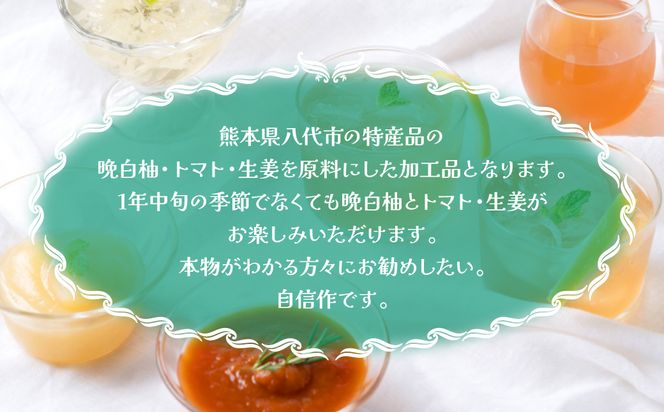 晩白柚・トマト・生姜 八代満喫セット 合計約3kg
