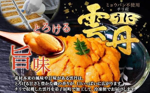 3402. 2種 海鮮丼 鱒 いくら醤油漬け 100g×5 約5-6人前 ウニ チリ産 雲丹 うに 100g×2 セット いくら イクラ いくら醤油 魚卵 ます マス 海鮮 送料無料 北海道 弟子屈町
