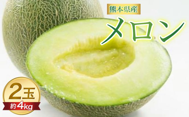 先行予約】肥後グリーンメロン 約4kg(2玉入)【2025年5月下旬 先行予約】肥後グリーンメロン 約4kg(2玉入)【2025年5月下旬