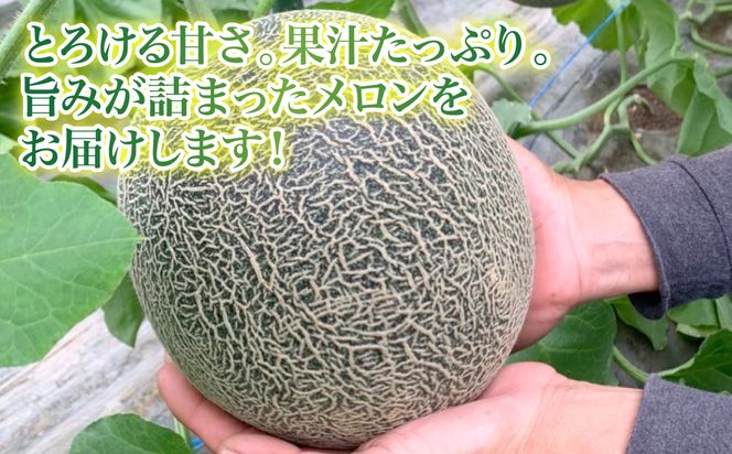 【先行予約】肥後グリーンメロン 約4kg（2玉入）【2025年5月下旬より順次発送】