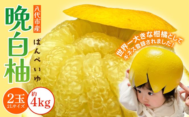 yF{szys\z sY ӔM 2 2LTCY 4kg y2025N12{菇z