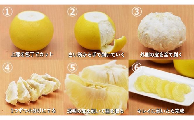 【先行予約】 八代市産 晩白柚 2玉 2Lサイズ 約4kg 【2025年12月下旬より順次発送】