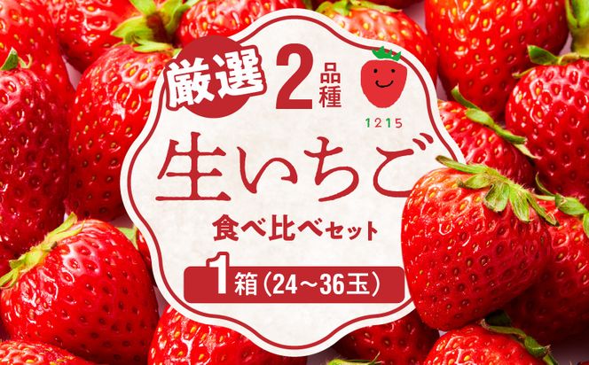 生いちご 厳選 2品種 食べ比べセット いちにのいちご園（1月から発送開始）1箱　N085-YA3318