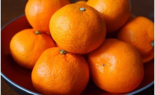 【濃厚・まろやか】有田産樹上越冬完熟みかん5kg（2S～Mサイズ混合・秀品）★2026年1月下旬頃より順次発送 BZ053