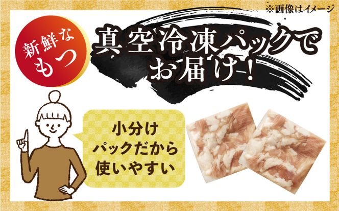 博多 味噌 もつ鍋 3～4人前《築上町》【株式会社MEAT PLUS】 [ABBP002]