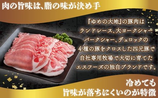 【平取町産四元豚】ゆめの大地豚ローススライス200g×15パック計３ｋｇ ふるさと納税 人気 おすすめ ランキング 豚肉 肉 ロース 北海道 平取町 送料無料 BRTD001