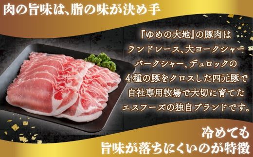 【12/20まで年内発送】【平取町産四元豚】ゆめの大地豚ローススライス200g×10パック計2ｋｇ ふるさと納税 人気 おすすめ ランキング 豚肉 肉 ロース 北海道 平取町 送料無料 BRTD004