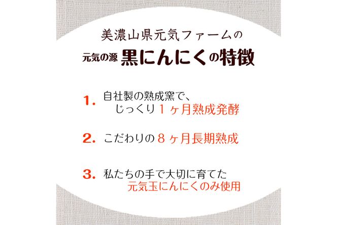 元気の源　黒にんにく　240g [No.672]