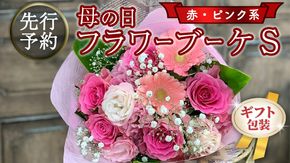【 母の日 】 ブーケ S 赤 ・ ピンク 系 ギフト プレゼント 花 お祝い 贈答 記念日 [CT088ci01]