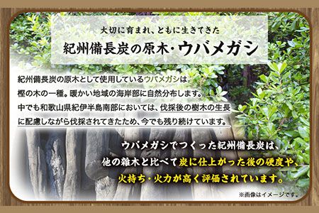紀州備長炭 馬目小丸 約15kg 株式会社紀 《30日以内に出荷予定(土日祝除く)》 和歌山県 日高川町 備長炭 炭 プロの 料理人 愛用---wshg_hjm2_30d_23_77000_15kg---