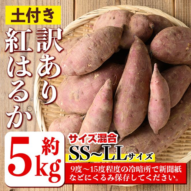 isa521 《訳あり》熟成紅はるか(約5kg・SS～LLサイズ混合) 【いさ工房】