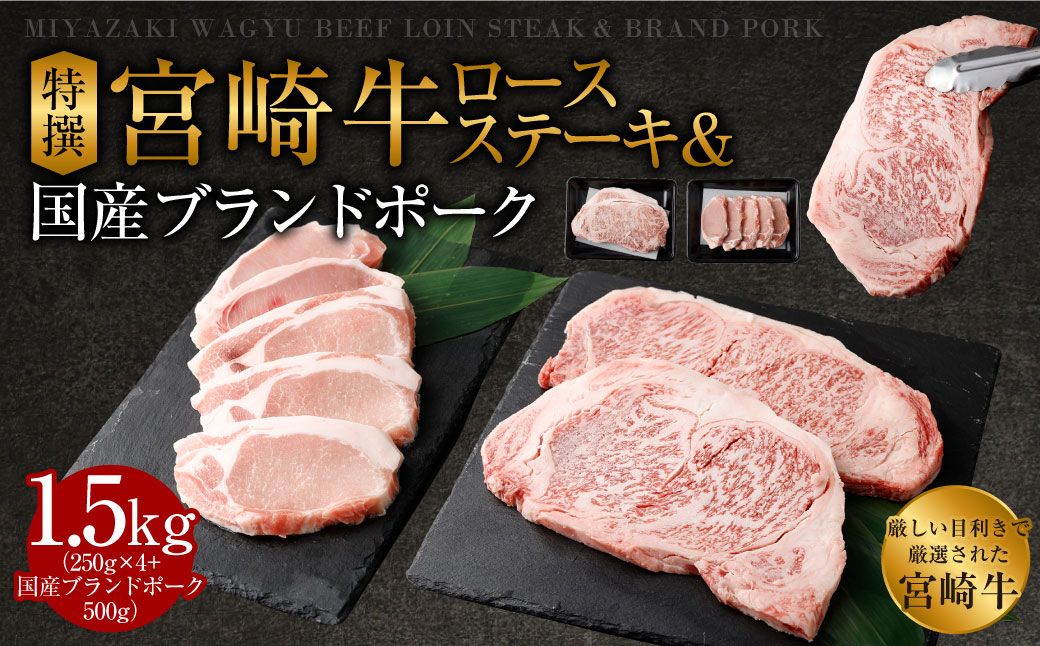 [特選宮崎牛ロースステーキ 1kg+ブランドポーク100g×5枚]2026年2月上旬より順次出荷します[c057_hn_x4]
