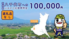 【 返礼品なし 】茨城県 八千代町 ふるさと応援寄附金 （ 100,000円 ) [ZZ006ya]