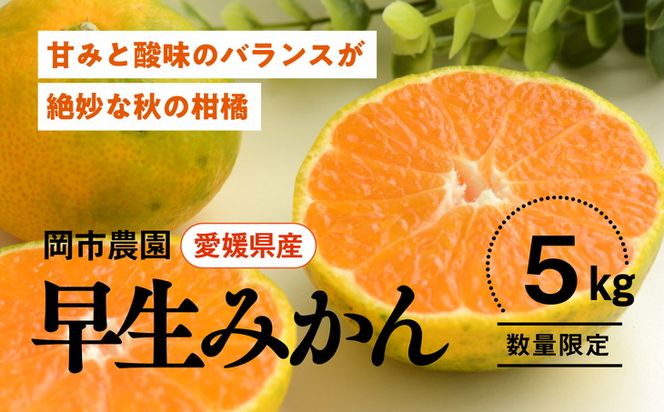 【先行予約】【数量限定】＼農園直送／愛媛県産早生みかん5kg×1箱（家庭用）｜柑橘 みかん 温州みかん ミカン 蜜柑 果物 フルーツ 愛媛県産 ※2024年11月中旬頃～12月上旬頃に順次発送予定