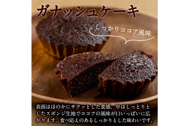 【10683】ガナッシュケーキ(約35g×15個セット)【吉川菓子店】