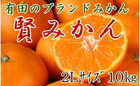  [秀品]有田のブランド「賢みかん」10kg(2Lサイズ)【2025年11月中旬頃より順次発送】 BZ077