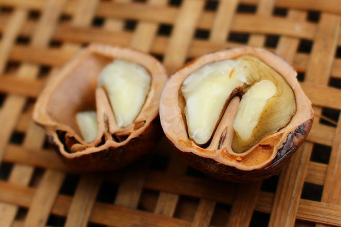 贅沢な食べ比べ！ 会津の鬼ぐるみ1kgと姫ぐるみ1kgのセット