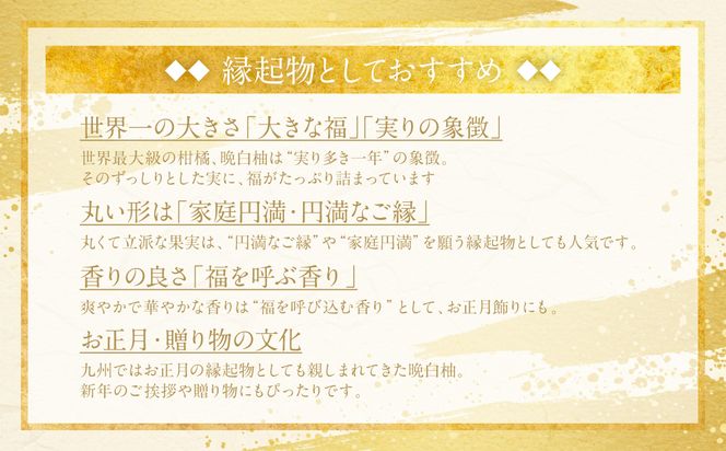 【先行予約】《年内最終日までお届け》やつしろ縁起物セット（晩白柚1玉込み） ばんぺいゆ みかん お正月 正月 飾り ギフト 贈り物 フルーツ 果物 くだもの い草 熊本県 八代市 【2026年12月中旬より順次発送】