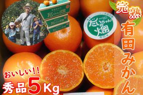 有田みかん  秀品 5kg　木成り完熟【贈答用】大ちゃんの畑農園  	CA10