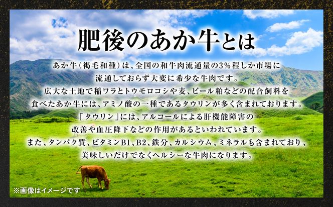 【定期便6回】肥後のあか牛 ロース ステーキ 約500g