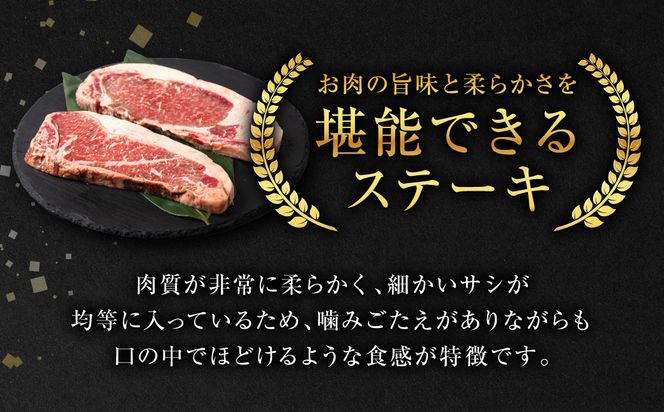 【定期便6回】肥後のあか牛 ロース ステーキ 約500g