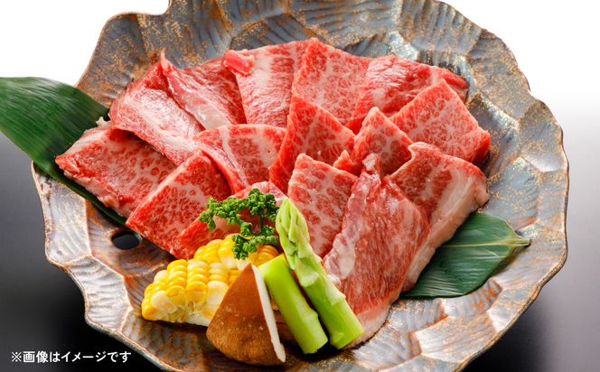 肥後のあか牛 焼肉用 500g（熊本県産和牛）焼き肉
