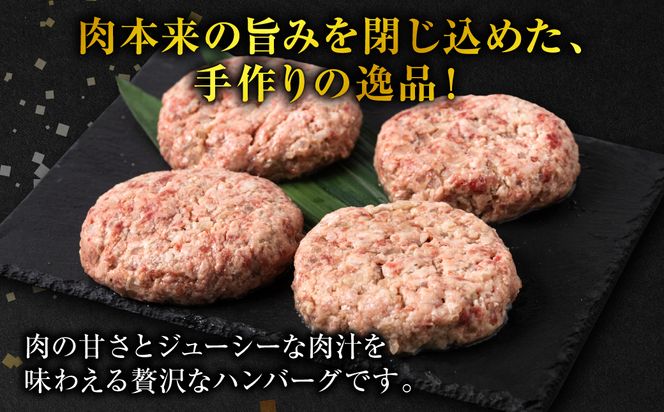 【定期便6回】肥後のあか牛 ハンバーグ 150g×10個 おかず 惣菜 洋食 お肉 肉 にく 冷凍 熊本県 八代市