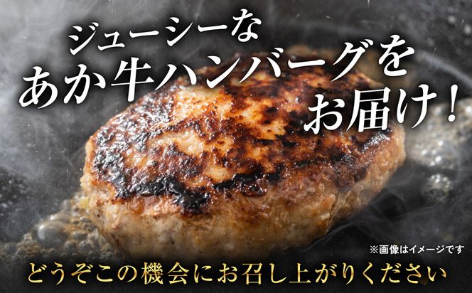 【定期便6回】肥後のあか牛 ハンバーグ 150g×10個 おかず 惣菜 洋食 お肉 肉 にく 冷凍 熊本県 八代市