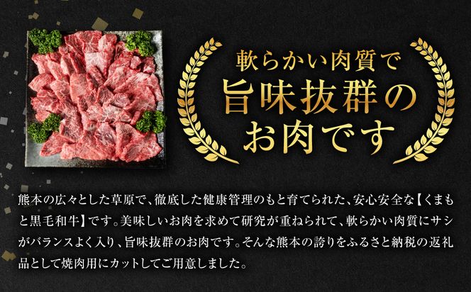 【定期便3回】くまもと黒毛和牛 焼肉用 500g ×3回 牛肉 やきにく