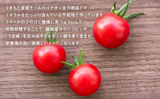 【先行予約】【甘みと酸味のバランス、旨みが絶妙な代表作】完熟収穫ミニトマト 約1.3kg トマト 甘い 野菜 旬 サラダ【2024年11月上旬順次発送】