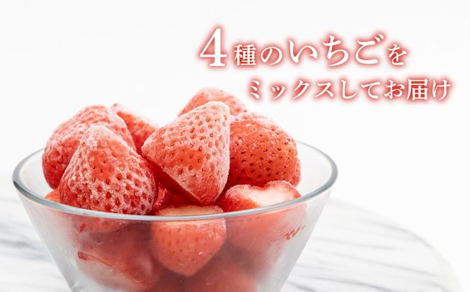 冷凍いちご 5袋詰合せセット BB020（山梨県都留市） | ふるさと