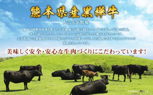 くまもと黒毛和牛 黒樺牛 A4~A5等級 ローススライス すき焼き用 250g 国産 九州 熊本県産 冷凍