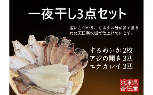 【一夜干し3点セット 産地直送】するめいか アジの開き エテガレイ 発送目安：入金確認後1ヶ月程度 兵庫県で水揚げされた3種の海産物を干物にしました 塩干物の命である塩にこだわり ミネラル分が多く含まれた天日海水塩で仕上げています 干物 日本海 兵庫県 香美町 香住 ハマダセイ 51-04