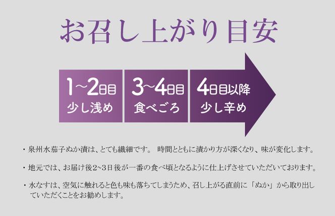 099H3089 【先行予約】特選水なす浅漬け＆生なす（12個入）