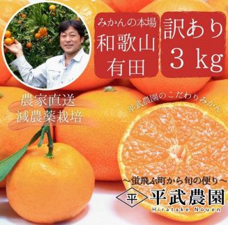 蛍飛ぶ町から旬の便り　有田みかん　訳あり3kg　平武農園　農家直送 BX27