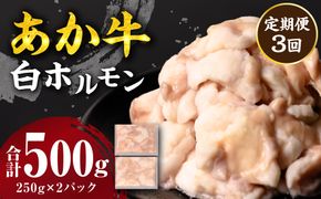 【定期便3回】 あか牛 白ホルモン 500g 250g×2パック