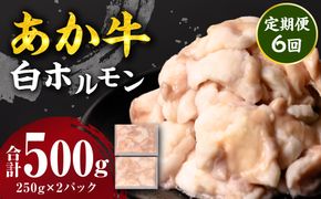 【定期便6回】 あか牛 白ホルモン 500g 250g×2パック