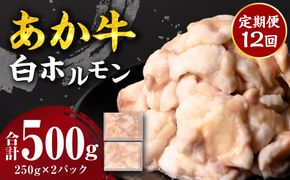 【定期便12回】 あか牛 白ホルモン 500g 250g×2パック