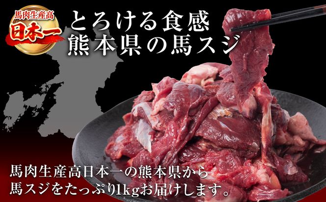 馬スジ 合計1kg 約500g×2パック 馬肉 馬 肉 お肉 煮込み 鍋 おでん 熊本名物