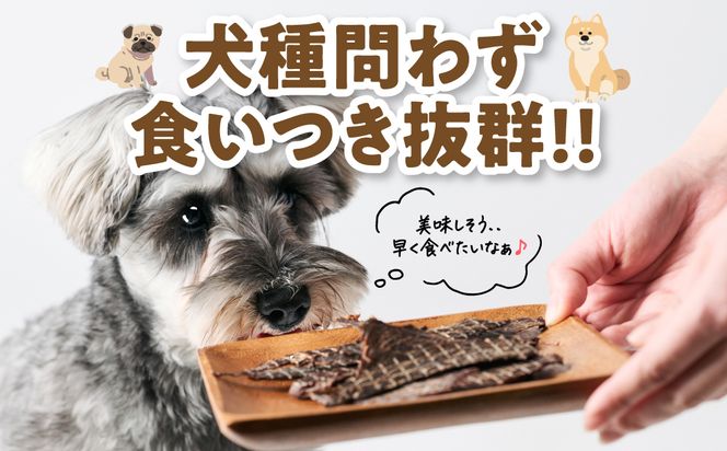 ペット用 馬刺しジャーキー100g  馬肉 ペットフード 愛犬 ドッグフード おやつ 食事 ごはん