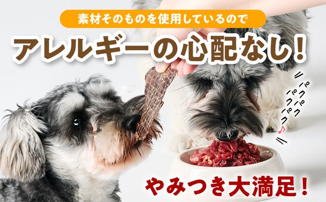 ペット用 馬肉切り落とし1kg＆馬刺しジャーキー100g 馬肉 ペットフード 愛犬 ドッグフード おやつ 食事 ごはん