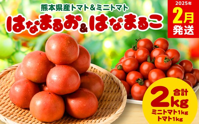 【2025年2月発送】熊本県産トマト 1kg ＆ ミニトマト 1kg  合計2kg はなまるお ＆ はなまるこ 